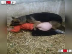Husband forced to have sex with a dog as dog slave bitch